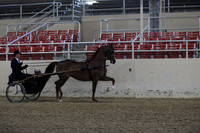 RCAHA19_SatPM_3432