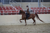 RCAHA19_SatPM_4303