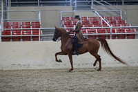 RCAHA19_SatPM_4304