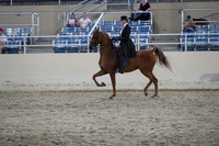 RCAHA19_SatPM_4306
