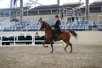 RCAHA19_SatPM_4308