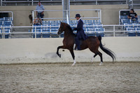 RCAHA19_SatPM_4309