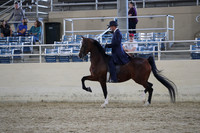 RCAHA19_SatPM_4311