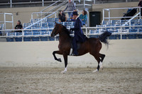 RCAHA19_SatPM_4312