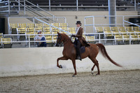 RCAHA19_SatPM_4314