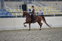 RCAHA19_SatPM_4315