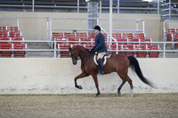 RCAHA19_SatPM_3472