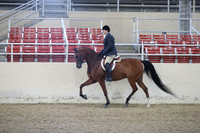 RCAHA19_SatPM_3473