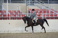RCAHA19_SatPM_3476