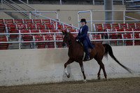 RCAHA19_SatPM_3512