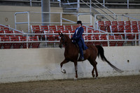 RCAHA19_SatPM_3511