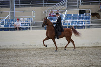 RCAHA19_SatPM_4320