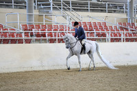 RCAHA19_SatPM_3482