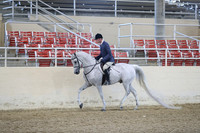 RCAHA19_SatPM_3484