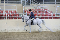 RCAHA19_SatPM_3485