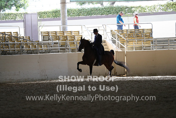 RCAHA19_SatPM_4323