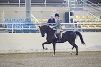 RCAHA19_SatPM_3487