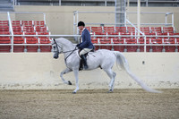 RCAHA19_SatPM_3486