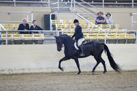 RCAHA19_SatPM_3489