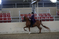 RCAHA19_SatPM_3523