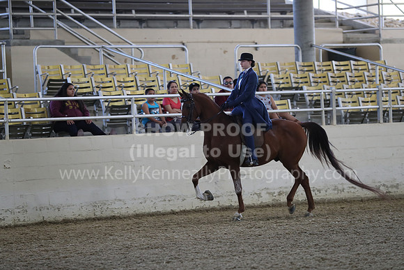 RCAHA19_SatPM_3524