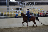 RCAHA19_SatPM_3525