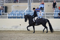 RCAHA19_SatPM_3492
