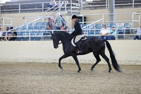 RCAHA19_SatPM_3493