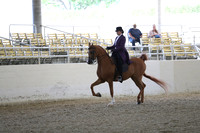 RCAHA19_SatPM_3531