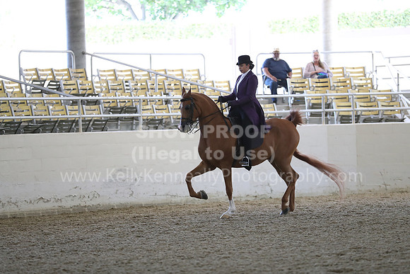 RCAHA19_SatPM_3531