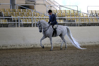 RCAHA19_SatPM_3495