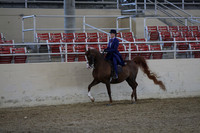 RCAHA19_SatPM_3535