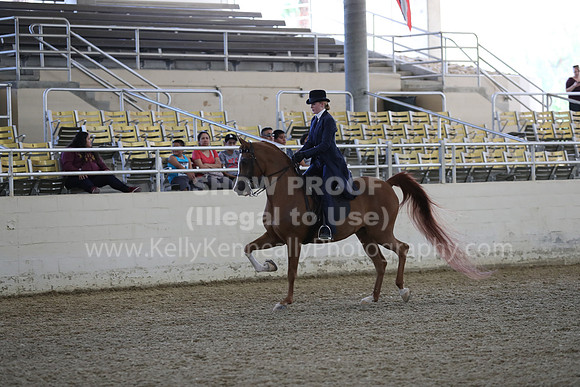 RCAHA19_SatPM_3542