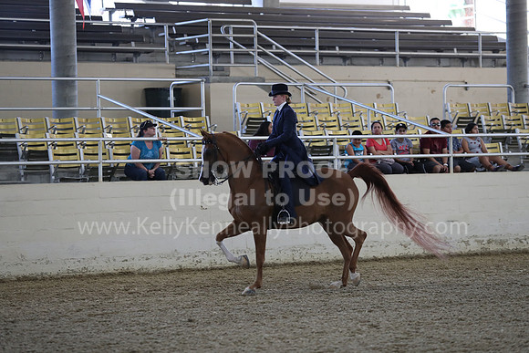 RCAHA19_SatPM_3543