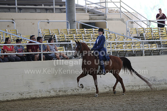 RCAHA19_SatPM_3544