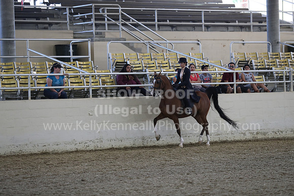 RCAHA19_SatPM_3554