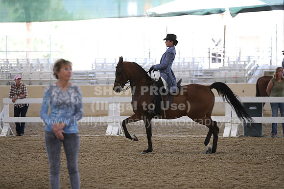 RCAHA19_SatPM_3562