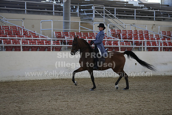 RCAHA19_SatPM_3563