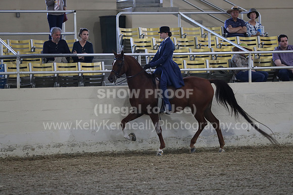 RCAHA19_SatPM_3570