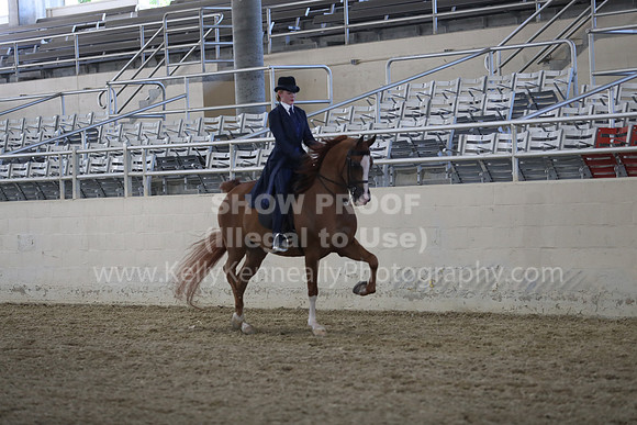 RCAHA19_SatPM_3573