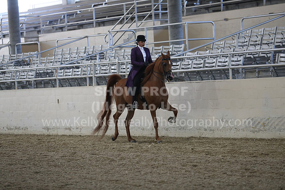 RCAHA19_SatPM_3578
