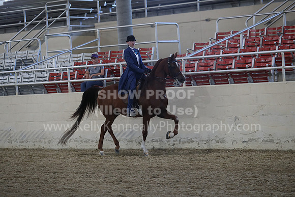 RCAHA19_SatPM_3582