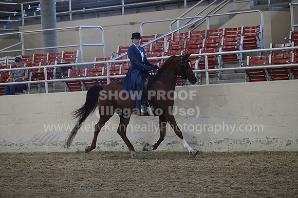 RCAHA19_SatPM_3583