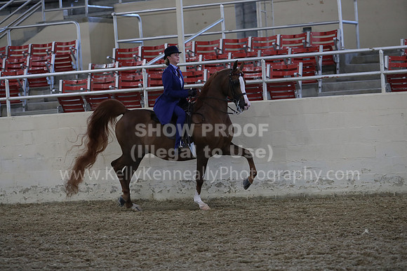 RCAHA19_SatPM_3586