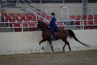 RCAHA19_SatPM_3513