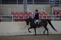 RCAHA19_SatPM_3612