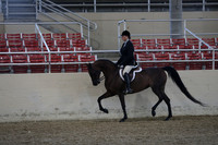 RCAHA19_SatPM_3613