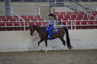 Class 143 Western . Seat Equitation JTR