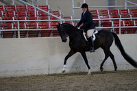 RCAHA19_SatPM_3615