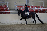 RCAHA19_SatPM_3616